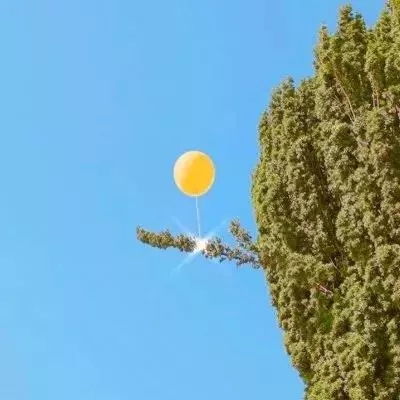 开元棋脾361SE截图